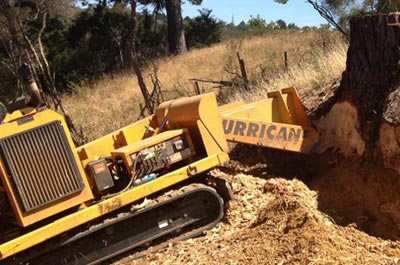 grinding stump