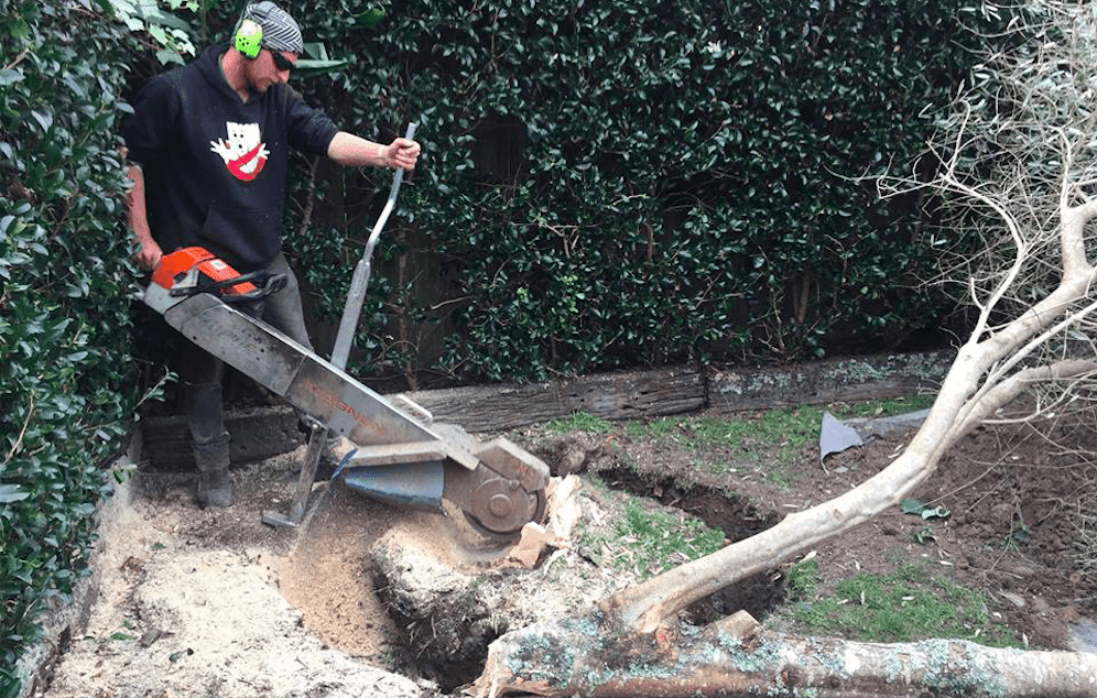 Tree and Stump Grinding Cost