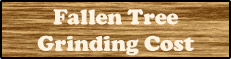 fallen-tree-grinding-cost