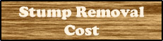 stump-removal-costs